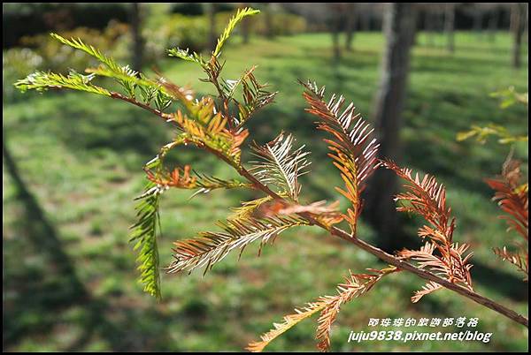 武陵農場167.JPG 武陵農場167.JPG