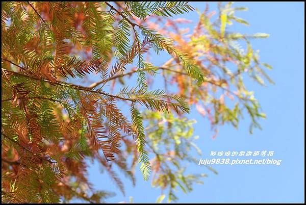 武陵農場168.JPG 武陵農場168.JPG