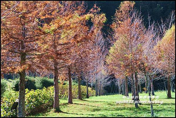 武陵農場170.JPG 武陵農場170.JPG