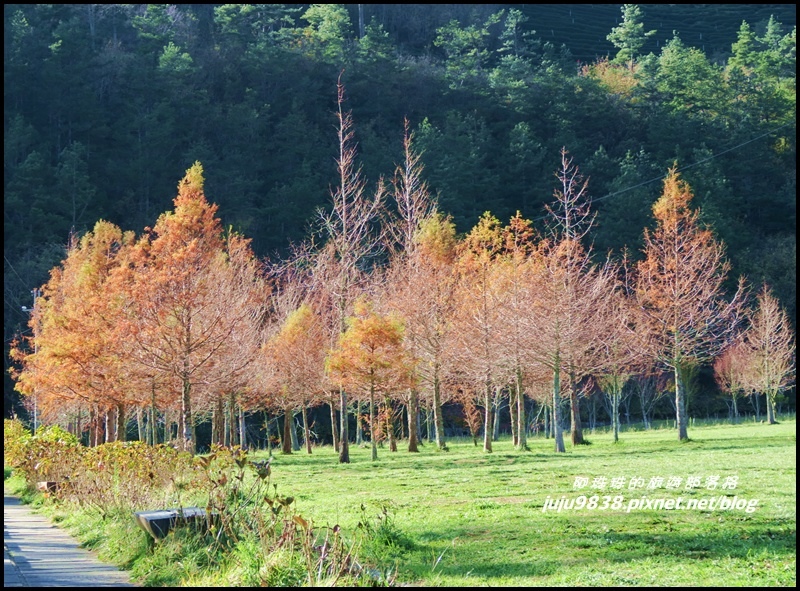 武陵農場171.JPG 武陵農場171.JPG