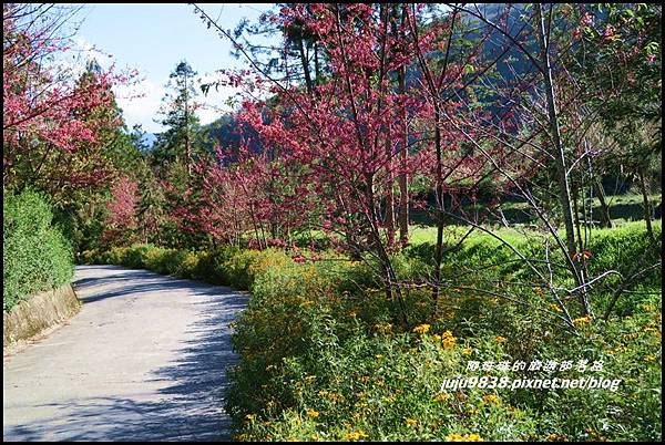 武陵農場172.JPG 武陵農場172.JPG