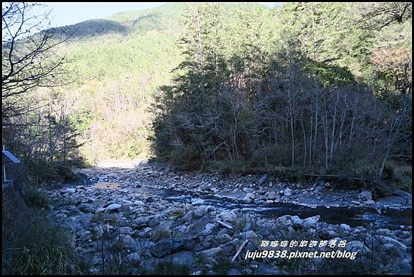 武陵農場175.JPG 武陵農場175.JPG