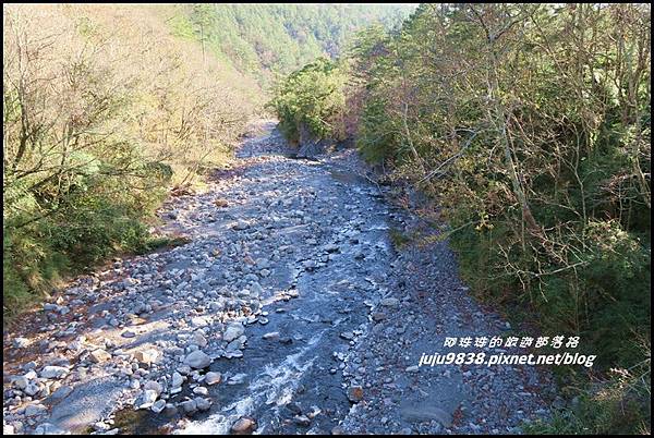 武陵農場177.JPG 武陵農場177.JPG