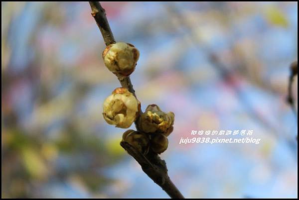 武陵農場183.JPG 武陵農場183.JPG