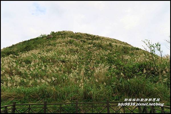 基隆山14.JPG 基隆山14.JPG