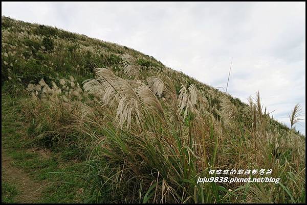 基隆山18.JPG 基隆山18.JPG