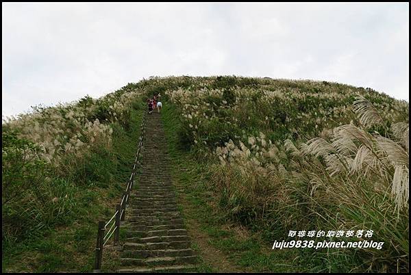 基隆山19.JPG 基隆山19.JPG