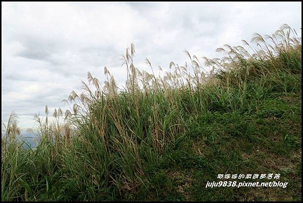 基隆山23.JPG 基隆山23.JPG