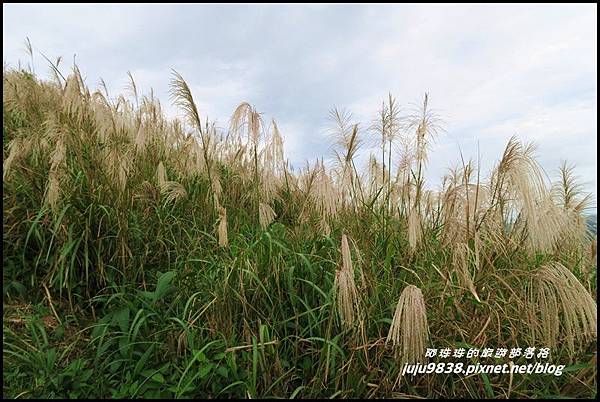 基隆山24.JPG 基隆山24.JPG