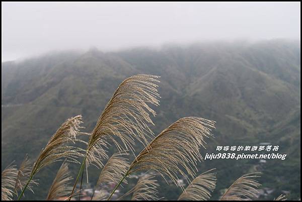基隆山29.JPG 基隆山29.JPG