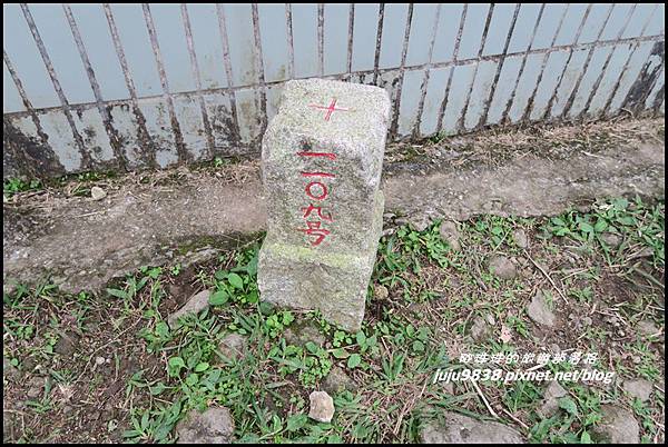 基隆山35.JPG 基隆山35.JPG