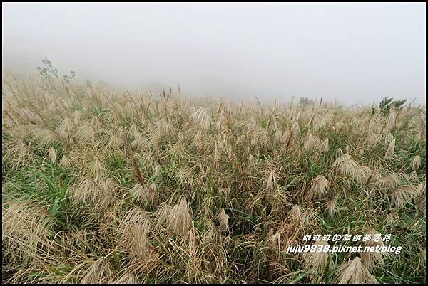 基隆山38.JPG 基隆山38.JPG