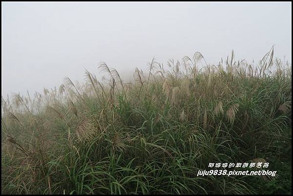 基隆山37.JPG 基隆山37.JPG