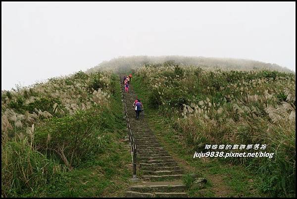 基隆山41.JPG 基隆山41.JPG