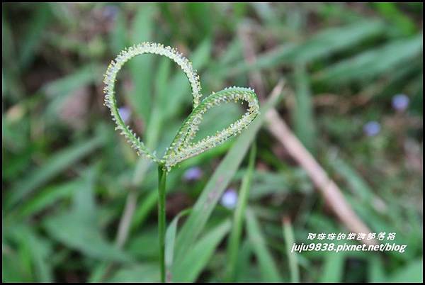 基隆山42.JPG 基隆山42.JPG