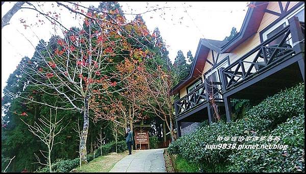 山上人家4.jpg 山上人家4.jpg