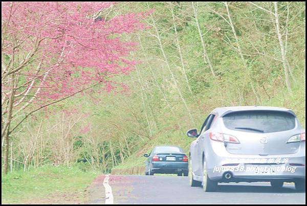 山上人家8.JPG 山上人家8.JPG