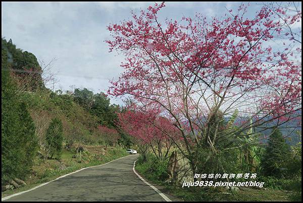 山上人家9.JPG 山上人家9.JPG