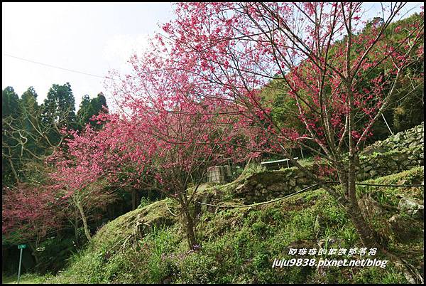 山上人家10.JPG 山上人家10.JPG
