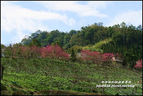 山上人家16.JPG 山上人家16.JPG