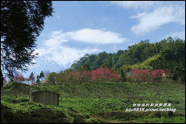 山上人家15.JPG 山上人家15.JPG