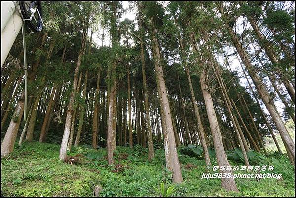 山上人家20.JPG 山上人家20.JPG