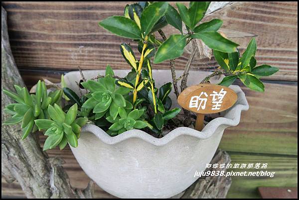 山上人家19.JPG 山上人家19.JPG