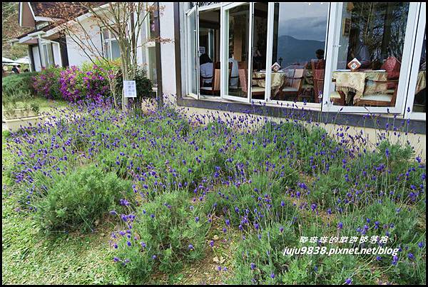 山上人家30.JPG 山上人家30.JPG