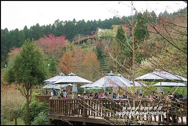 山上人家34.JPG 山上人家34.JPG