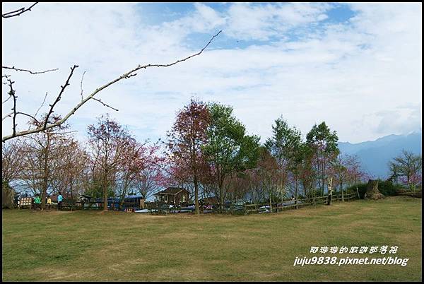 山上人家35.JPG 山上人家35.JPG