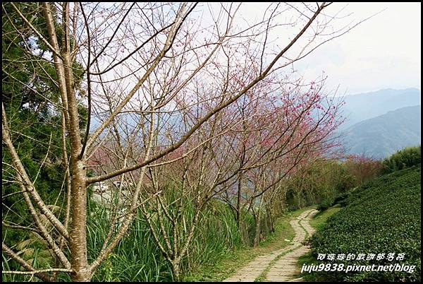 山上人家36.JPG 山上人家36.JPG