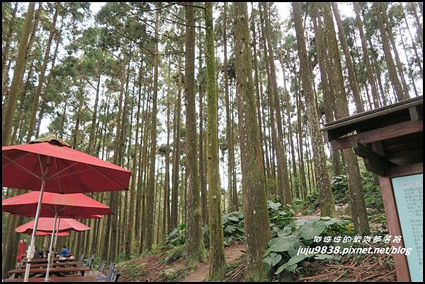 山上人家43.JPG 山上人家43.JPG