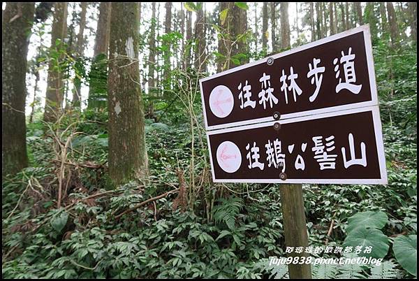 山上人家45.JPG 山上人家45.JPG