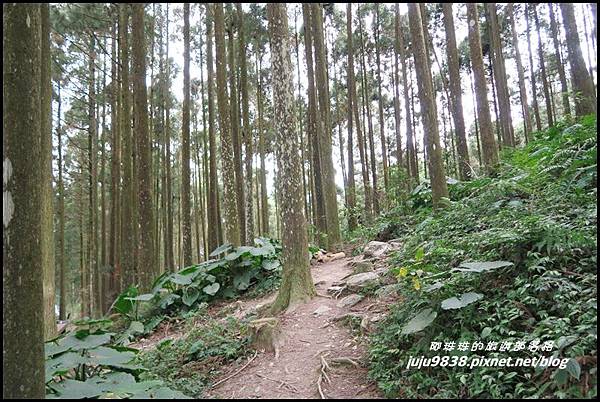 山上人家46.JPG 山上人家46.JPG