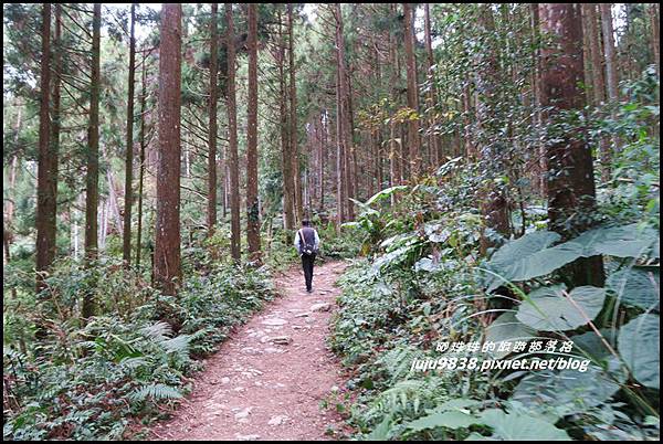 山上人家49.JPG 山上人家49.JPG