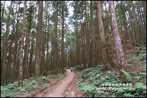 山上人家56.JPG 山上人家56.JPG