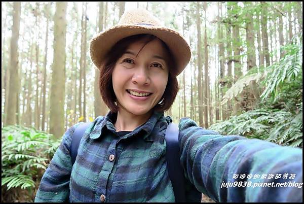 山上人家59.JPG 山上人家59.JPG