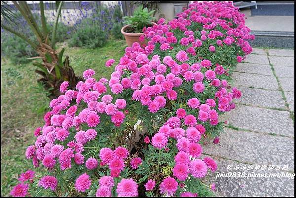 山上人家74.JPG 山上人家74.JPG