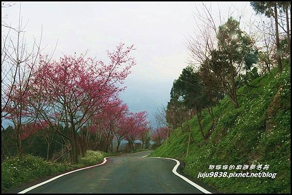 山上人家76.JPG 山上人家76.JPG