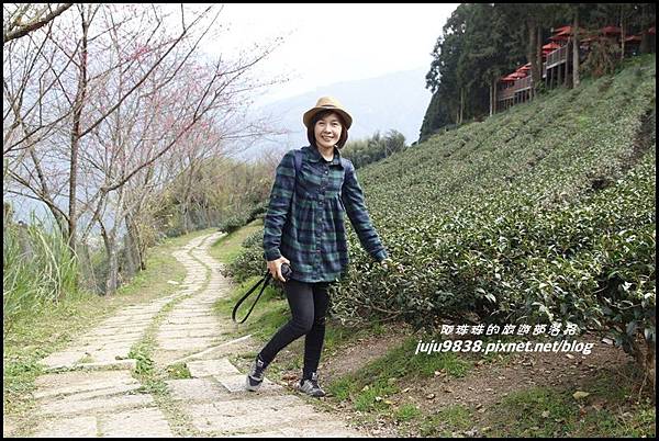 山上人家82.JPG 山上人家82.JPG