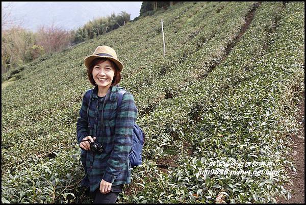 山上人家81.JPG 山上人家81.JPG