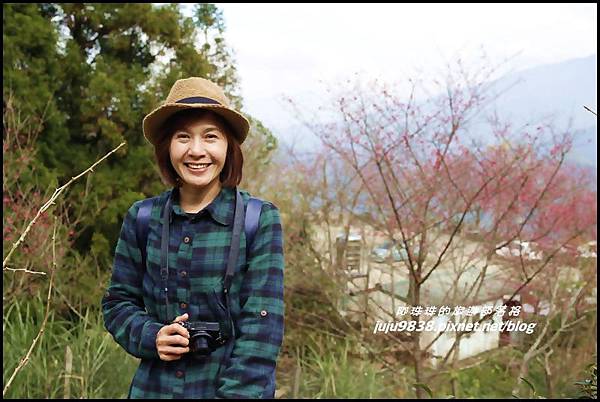 山上人家83.JPG 山上人家83.JPG