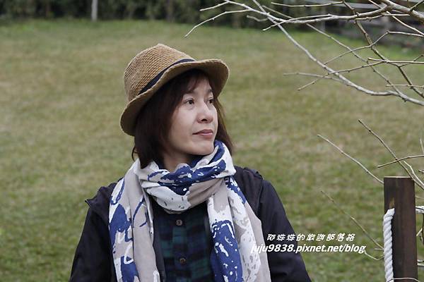 山上人家91.JPG 山上人家91.JPG