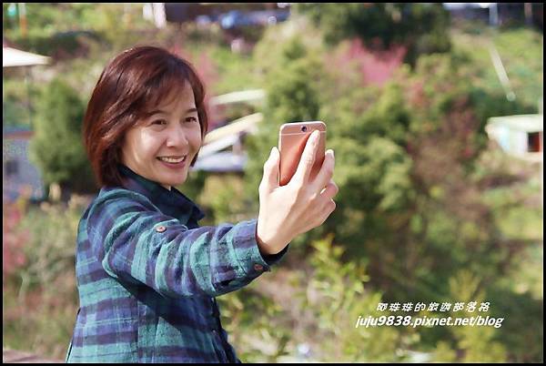 山上人家92.JPG 山上人家92.JPG