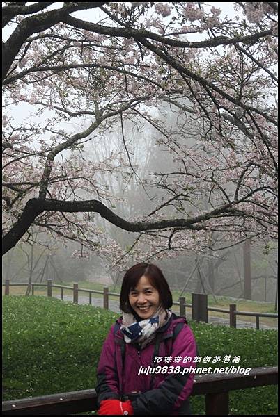 阿里山2.JPG 阿里山2.JPG