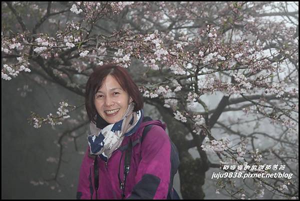 阿里山4.JPG 阿里山4.JPG