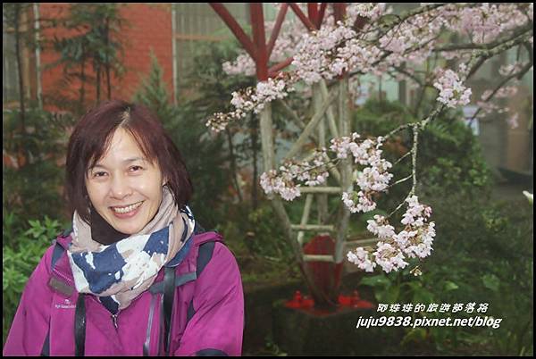 阿里山5.JPG 阿里山5.JPG