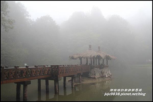 阿里山11.JPG 阿里山11.JPG