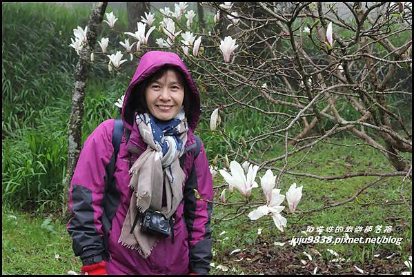 阿里山13.JPG 阿里山13.JPG