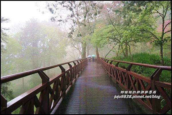 阿里山19.JPG 阿里山19.JPG